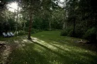 Walk to HoliMont! Cozy Creekside Haven in Downtown Ellicottville - 4 tähden