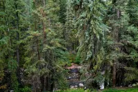Treetops 4D Lionshead Village - homestay