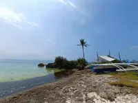 The Wild Orchid Resort - Moalboal - Beach