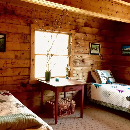 Rare private cabin retreat surrounded by 1700 acres of woods, yet close to town.