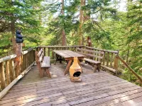 3 BR Mountain Log Cabin at St. Mary's Glacier - 3-Sterne