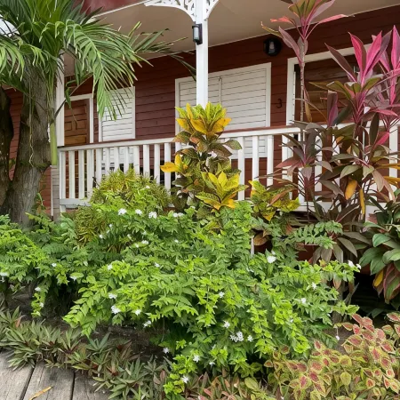Alux House