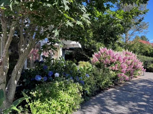 4 Br California Living, Heated Pool 80F, Central AC, Pet, West Bellevue, 30D+ ok - Bungalows