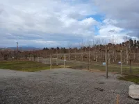 陽光山莊別墅 - 停車場