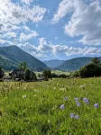 Feel-good apartment TANNE - 3-Star