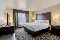 Cobblestone Hotel & Suites - de Pere Green Bay - bar