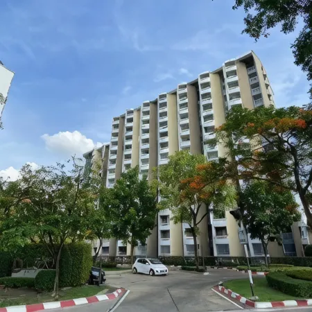 Dluxx Thammasat
