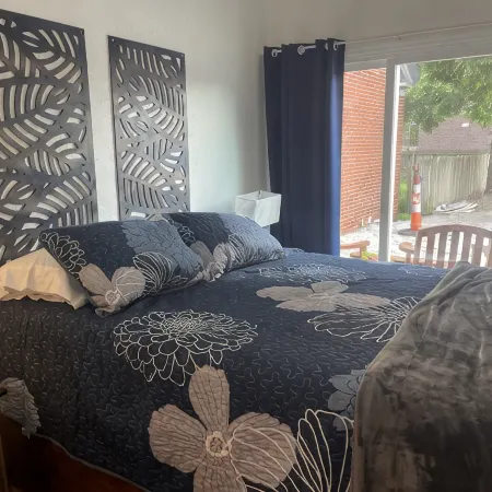 Charming one bedroom apartment near MSU and downtown
