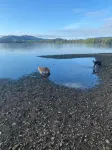 Charming stone Bothy at Loch Lomond - Homestays