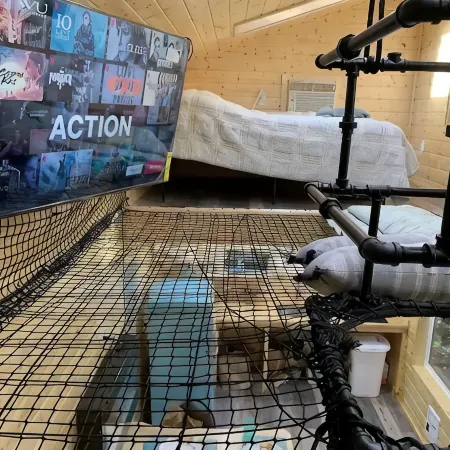 Yeti's Tree House: Where Dreams Come True