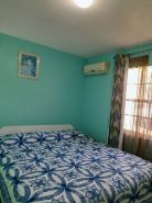 Tropical Blossom Apt. with washer, T.V, a/c,wi-fi