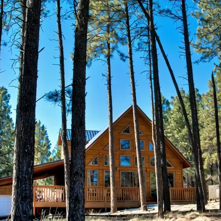 Angel Fire Chalet Nestled in the Pines, convenient to Ski and Golf w/Hot Tub