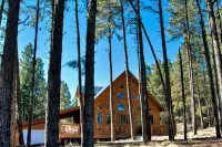 Angel Fire Chalet Nestled in the Pines, convenient to Ski and Golf w/Hot Tub - Chalets