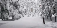 Nature Lover's Paradise: Luxurious The Shire - Cubs Crossing Chalet in Sierras - Chalets
