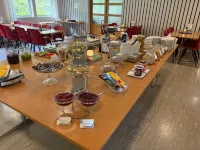 Lyngmo Gjestehus - Wifi