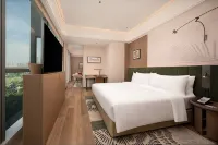 Chongqing Central Business District Jiangbeizui Hilton Garden Hotel - spa