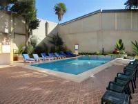 Hotel Las Dalias Inn - Kolam Renang