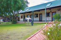 Kingfisher Hollow Self Catering Guest House.