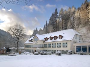 Waldhotel Bad Sulzburg