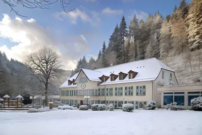Waldhotel Bad Sulzburg Hotels in Sulzburg