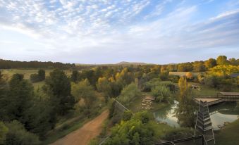 Jamala Wildlife Lodge