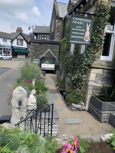 庭 ケンブリッジ ハウスの写真