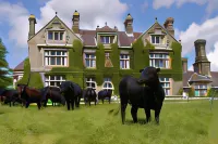 Blessingbourne Cottages & Apartments Hotels in 