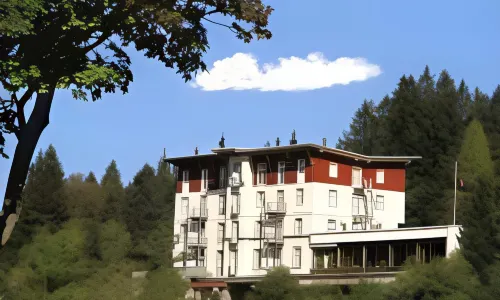 Das Waldhotel - Genuss & Wellness am Notschreipass