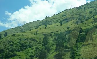 Goroomgo Highway Inn Manali