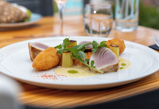 Chogogo Dive & Beach Resort Curacao Hotel Overview