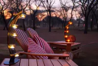 Foreva Wild Hotels in Nokeng Tsa Taemane Local Municipality