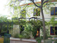 Guest House Kola Hotels in Slano