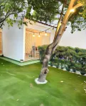 Yolo Hostel Hotel a 