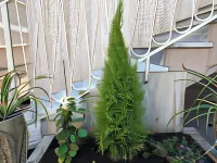 B & B Raffaello Hotels in Terzigno