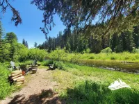 Little Blue Cabin on the Clearwater River! - Homestays
