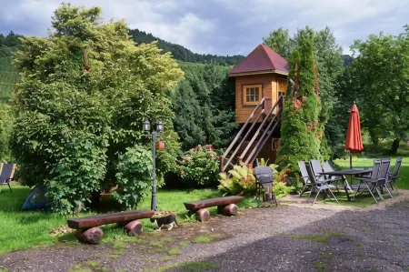 Hotel Faxe Schwarzwälder Hof Отели в г. Каппельродек
