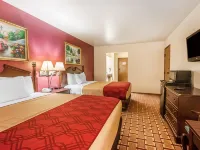 Econo Lodge Hotels in Stoddard County