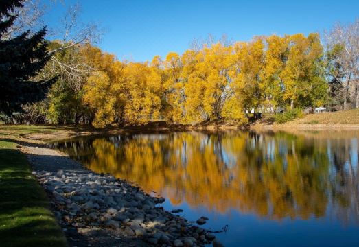 홈 인 메디슨 햇 객실