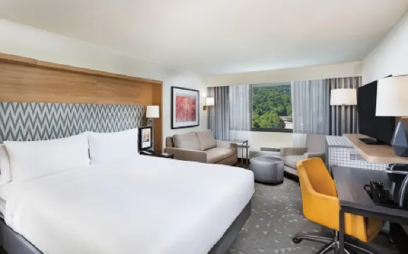 Holiday Inn ASHEVILLE EAST-BLUE RIDGE PKWY by IHG