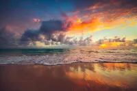 True Beachfront Luxury! Downstairs unit oceanfront 20' to water! NO resort fees.