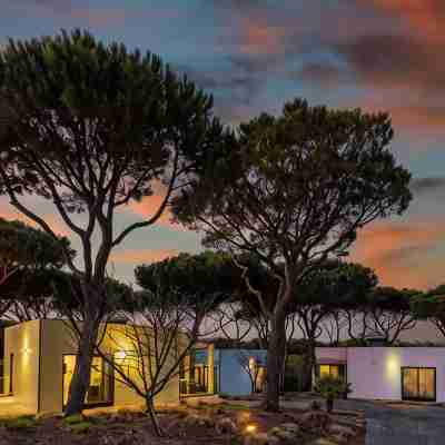 The Magnolia Hotel Hotel Exterior