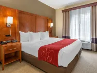 Comfort Suites Newark - Harrison Hotels in Newark