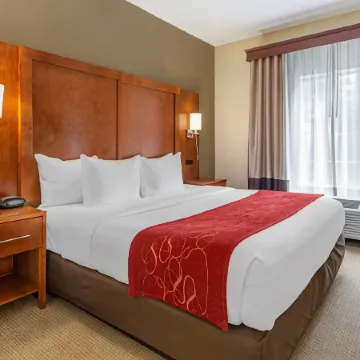 Comfort Suites Newark - Harrison