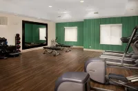 Holiday Inn Express & Suites Independence-Kansas City Hôtels à : Blue Springs