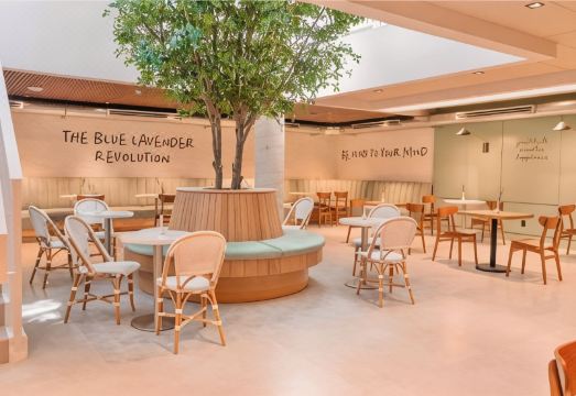 나소 스위트 호텔