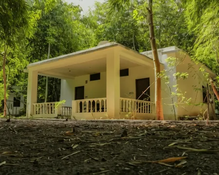 Panna Tiger Resort- Riverside Property Hotels in Chhatarpur