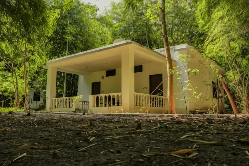 Panna Tiger Resort- Riverside Property Hotels in Chhatarpur