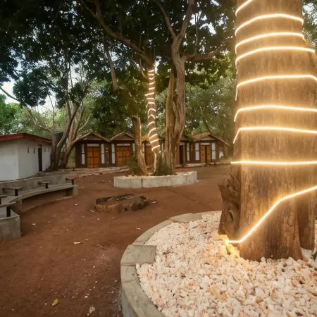 Funk Bunks - Sigiriya