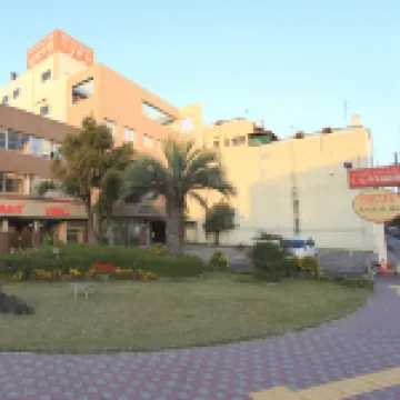 Business Hotel Kurogane Ryokan