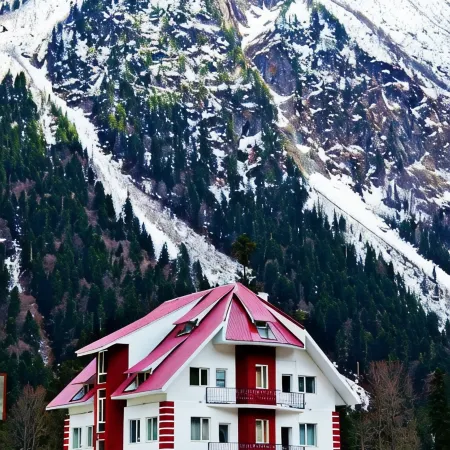 Hotel Orion